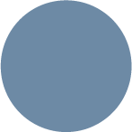 225 Matte Aviator Blue